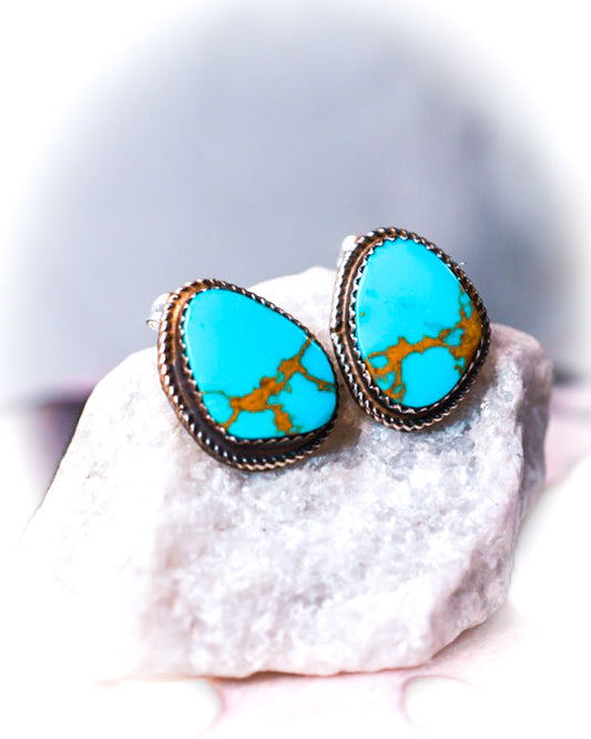 Turquoise Earrings - Smokin' Blues Turquoise
