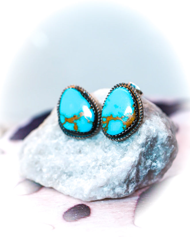 Turquoise Earrings - Smokin' Blues Turquoise