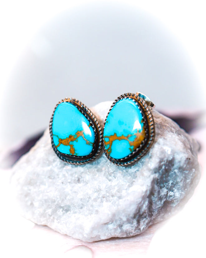 Turquoise Earrings - Smokin' Blues Turquoise