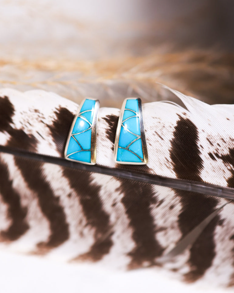 Turquoise Earrings - Smokin' Blues Turquoise