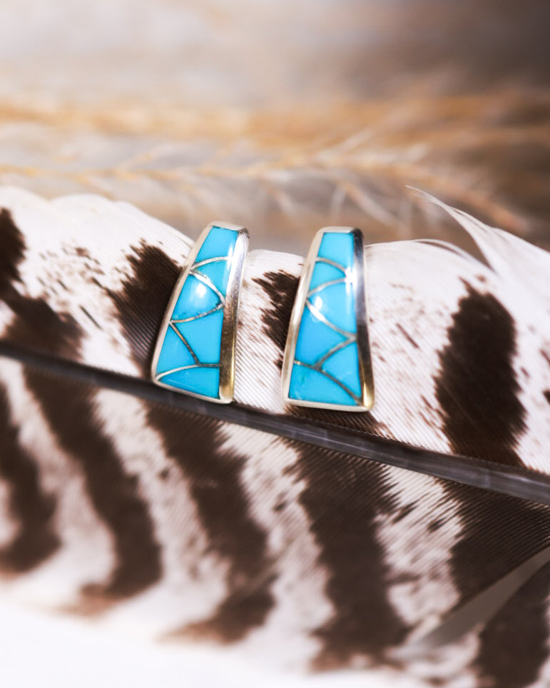 Turquoise Earrings - Smokin' Blues Turquoise