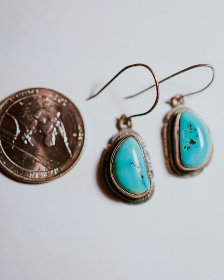 Turquoise Earrings - Smokin' Blues Turquoise