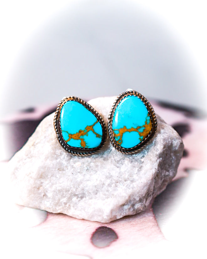 Turquoise Earrings - Smokin' Blues Turquoise