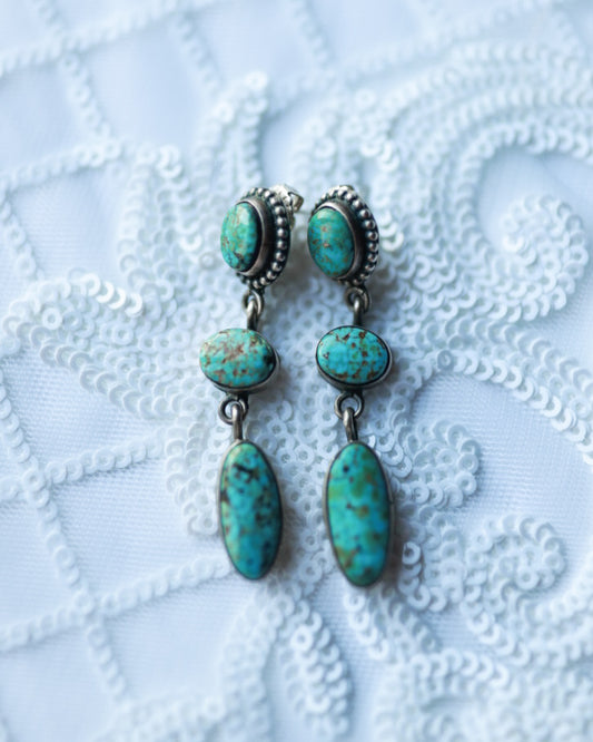 Turquoise Earrings - Smokin' Blues Turquoise